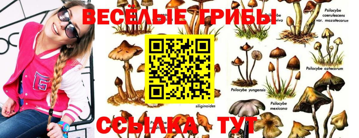 Гашиш  А ПВП СК   Cocaine  Вход с VPN  Меф кристаллы  МЕТАМФЕТАМИН  NBOMe  Ленинск-Кузнецкий  Каннабис 