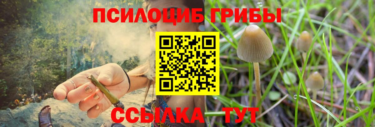 Ленинск-Кузнецкий  Псилоцибиновые грибы Magic Shrooms  Вход с VPN 