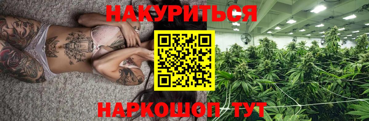 Каннабис гибрид  Каннабис планчик  Ленинск-Кузнецкий  Вход с VPN  Канабис тримм 